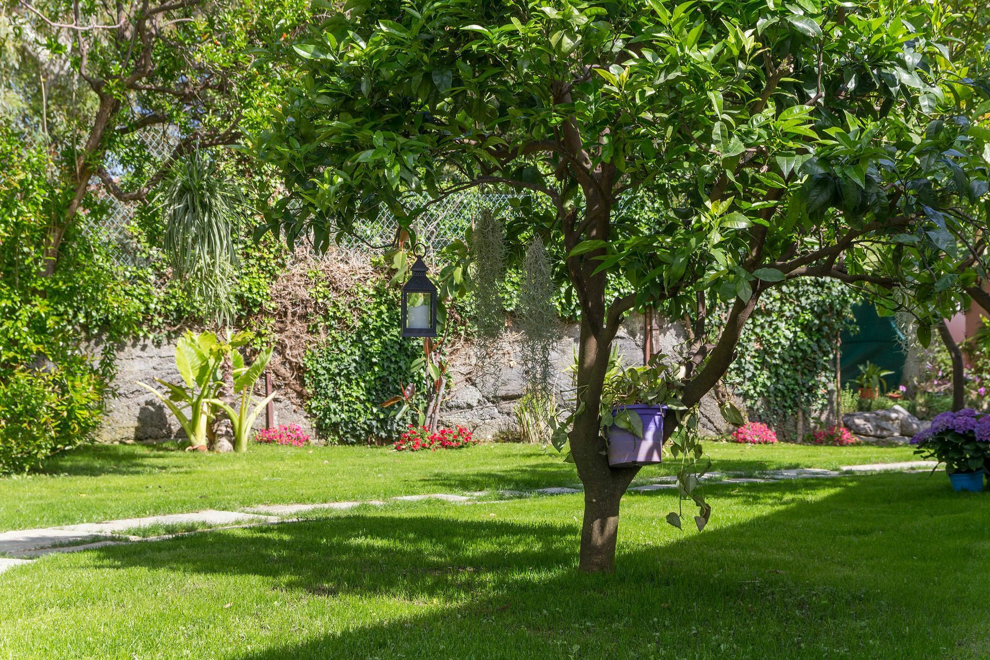 Villa Paola 로아노 외부 사진