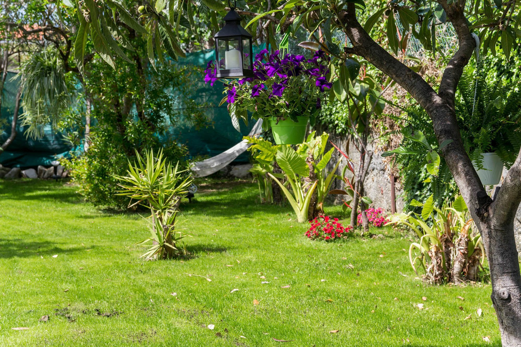 Villa Paola 로아노 외부 사진