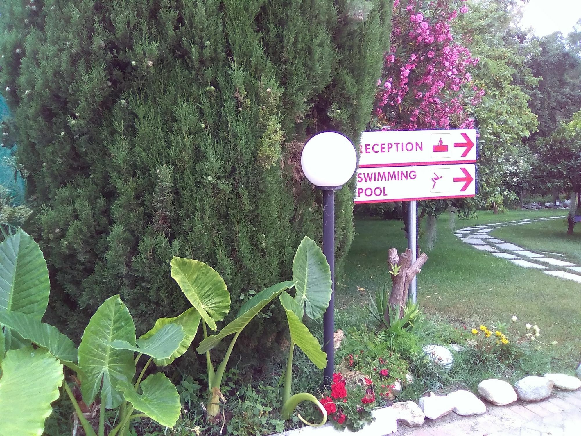 Villa Paola 로아노 외부 사진